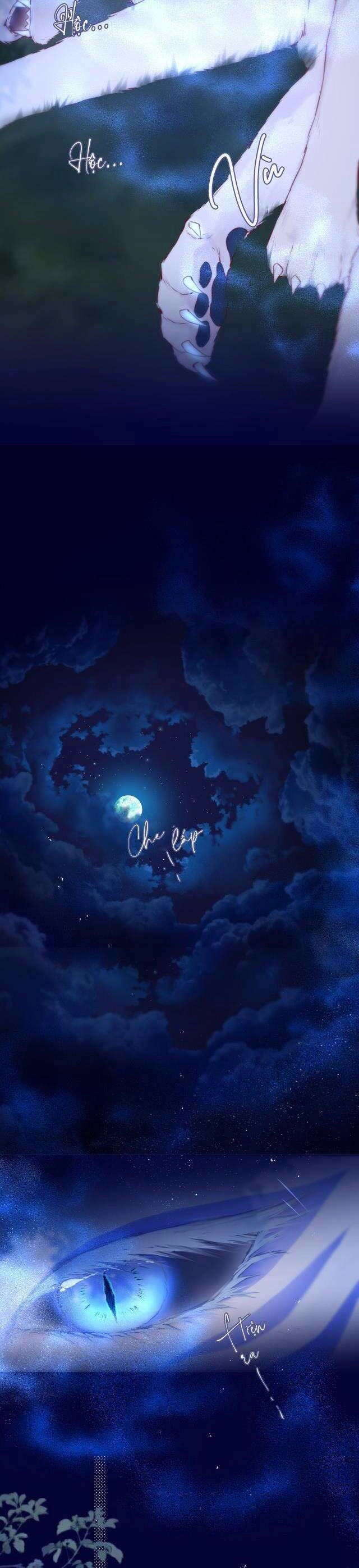 Cạm Bẫy Của Hồ Ly Chapter 50 - 5