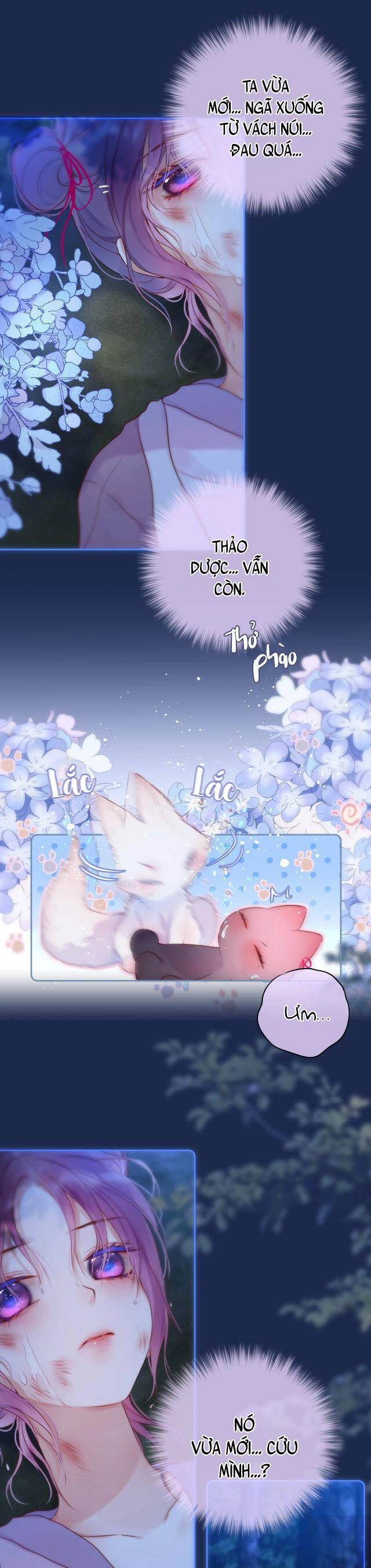 Cạm Bẫy Của Hồ Ly Chapter 50 - 12