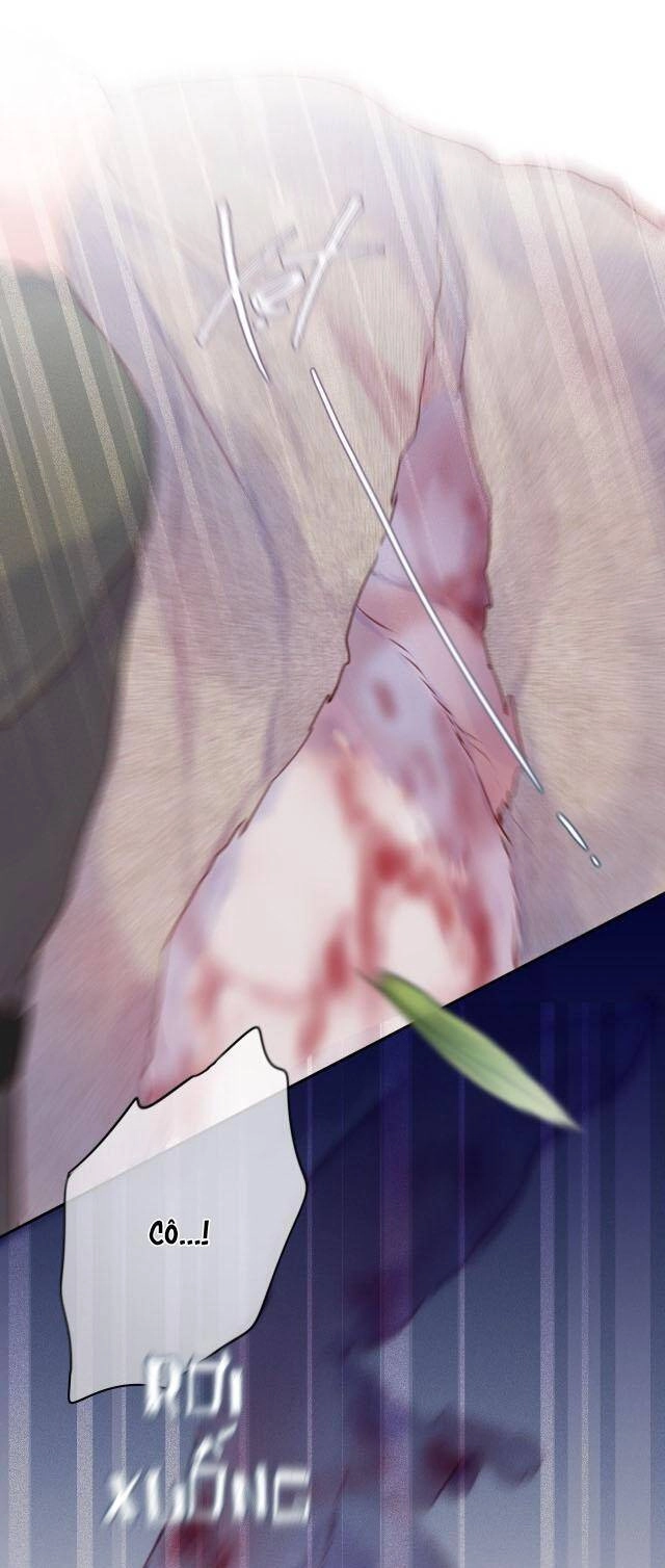 Cạm Bẫy Của Hồ Ly Chapter 51 - 15