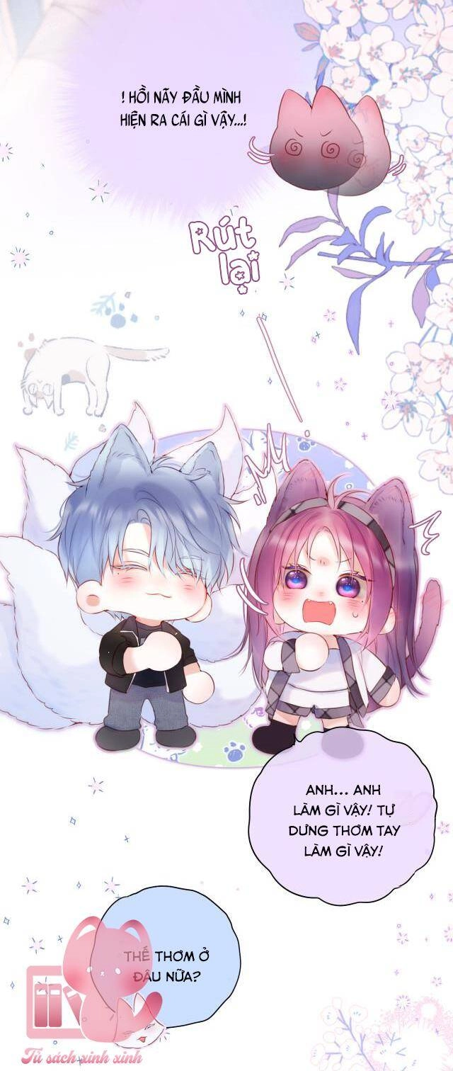 Cạm Bẫy Của Hồ Ly Chapter 53 - 19