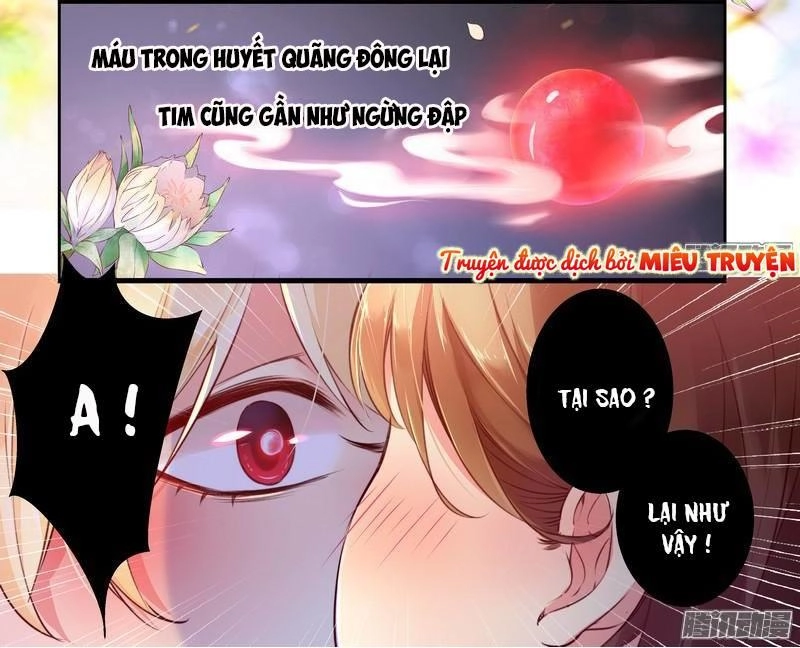 Huyết Tộc Điện Hạ Xin Đừng Cắn Tôi Chapter 2 - 3