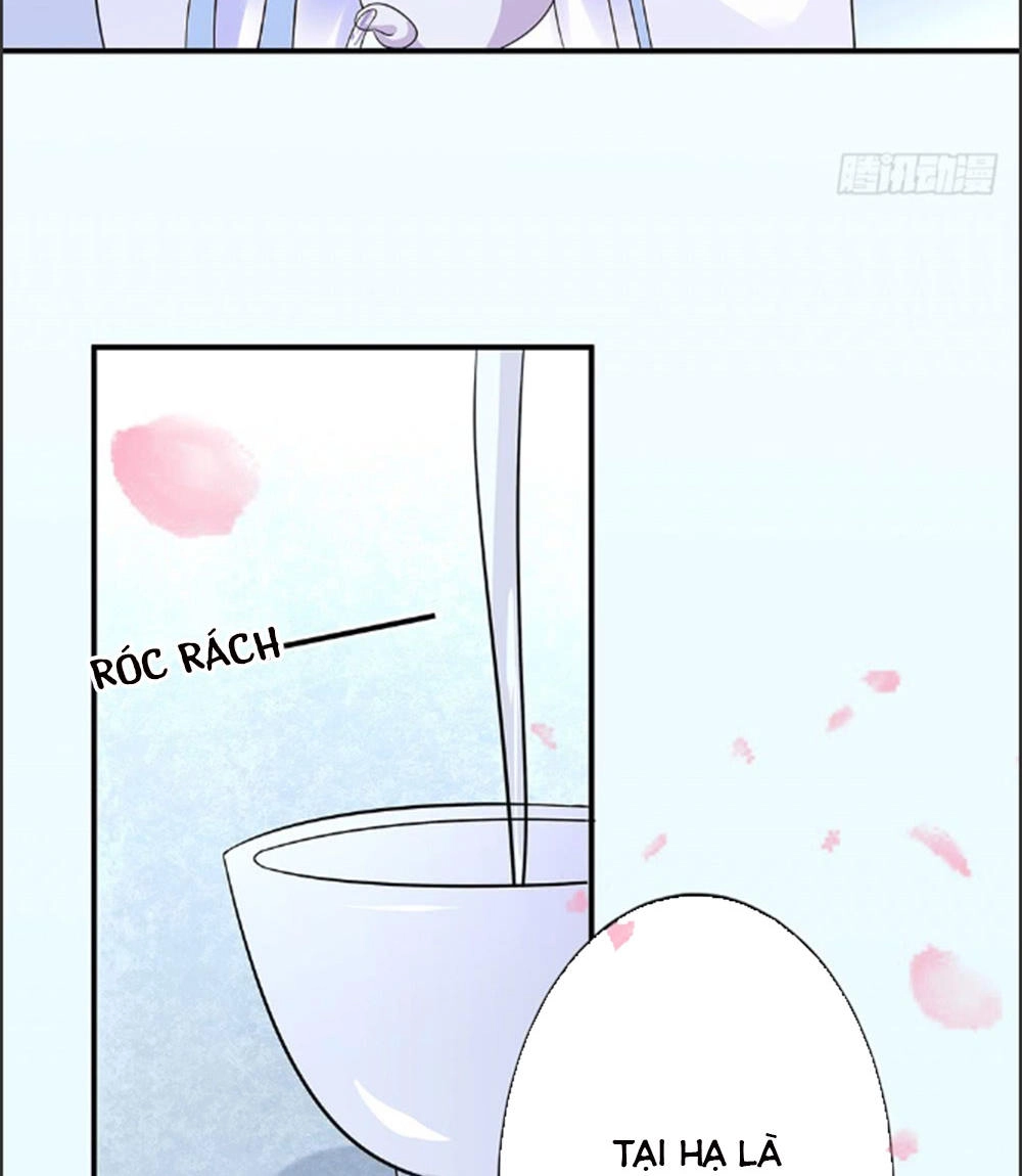 Phượng Hoàng Ngàn Năm Chapter 10 - 24