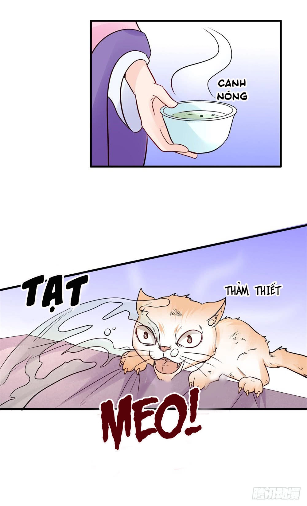 Phượng Hoàng Ngàn Năm Chapter 33 - 7