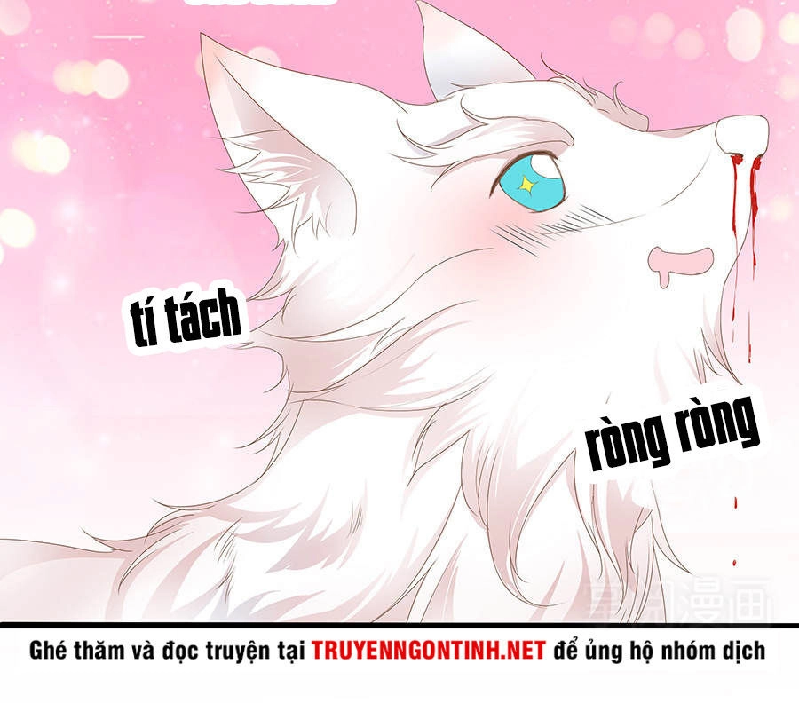 Vương Phi Lại Hạ Độc Rồi Chapter 7 - 27