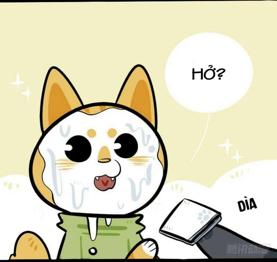 Đời Không Như Mình Tưởng Chapter 2 - 11