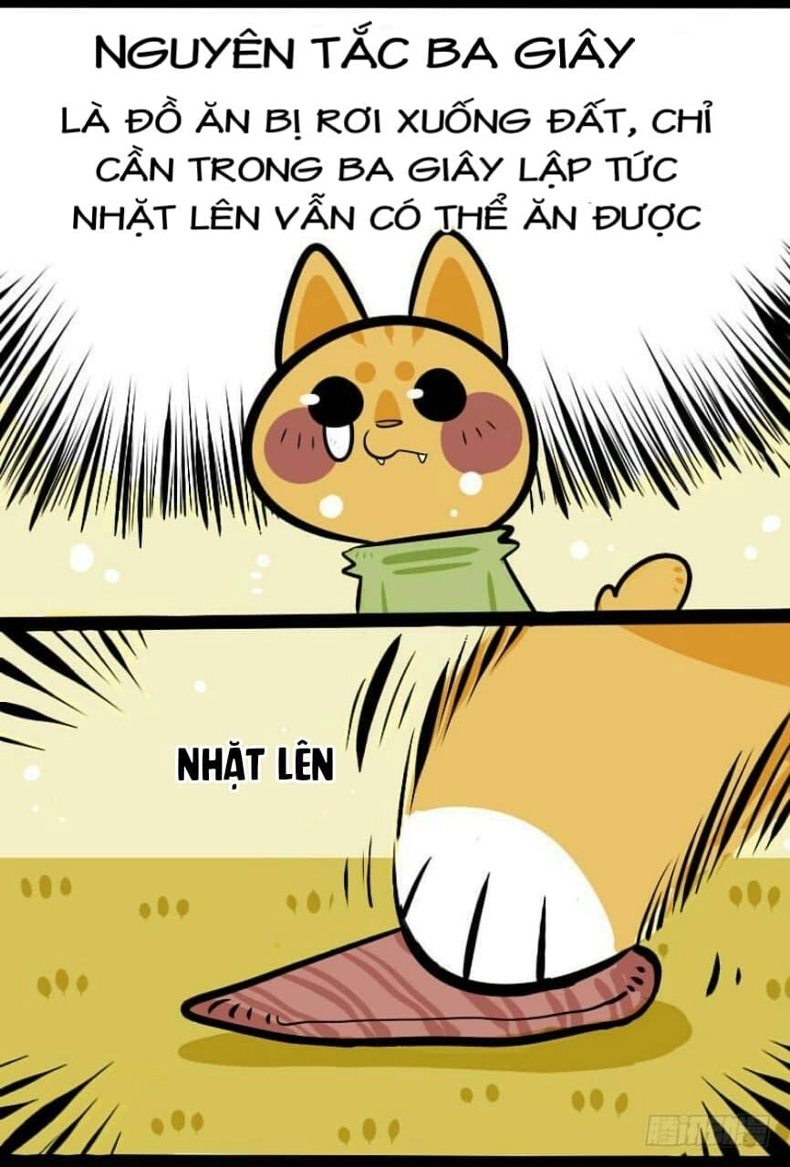 Đời Không Như Mình Tưởng Chapter 3 - 7