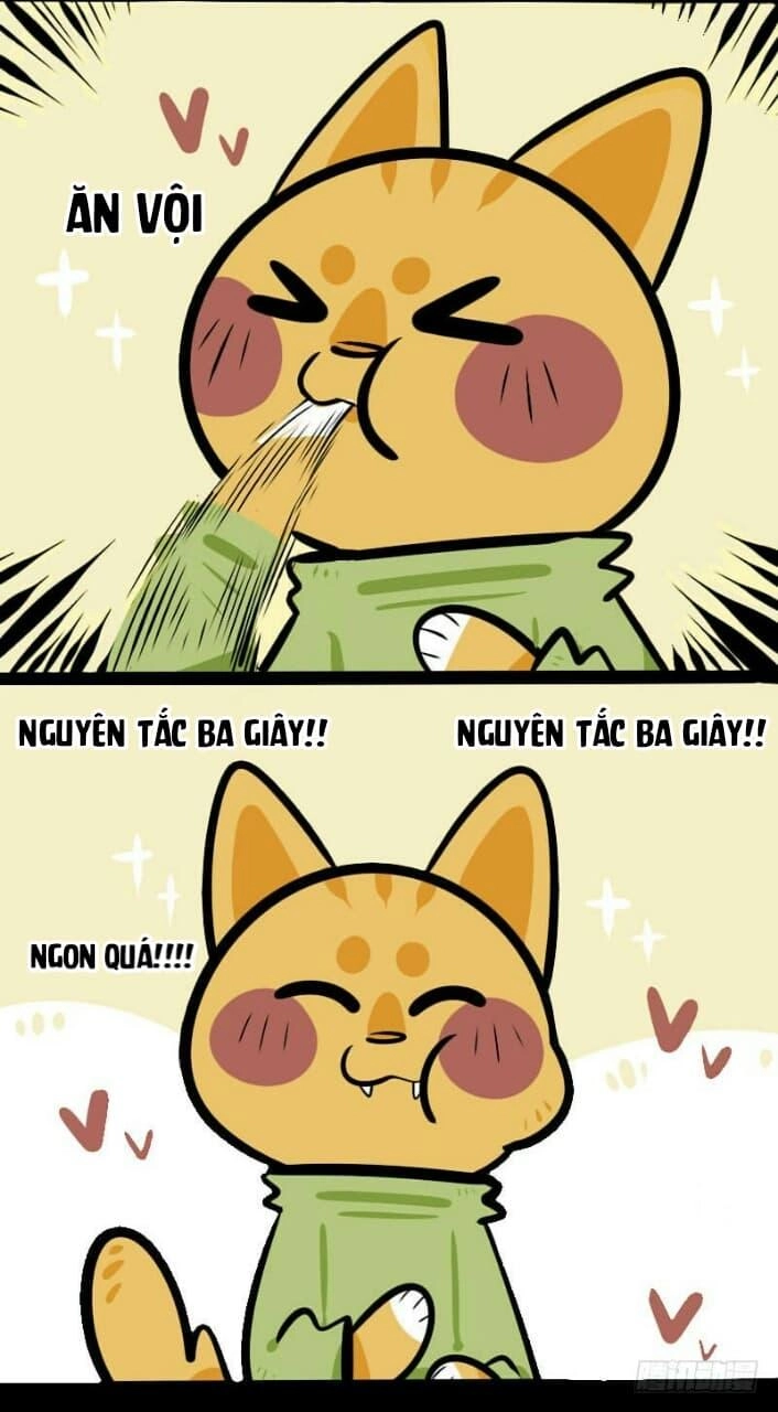 Đời Không Như Mình Tưởng Chapter 3 - 8