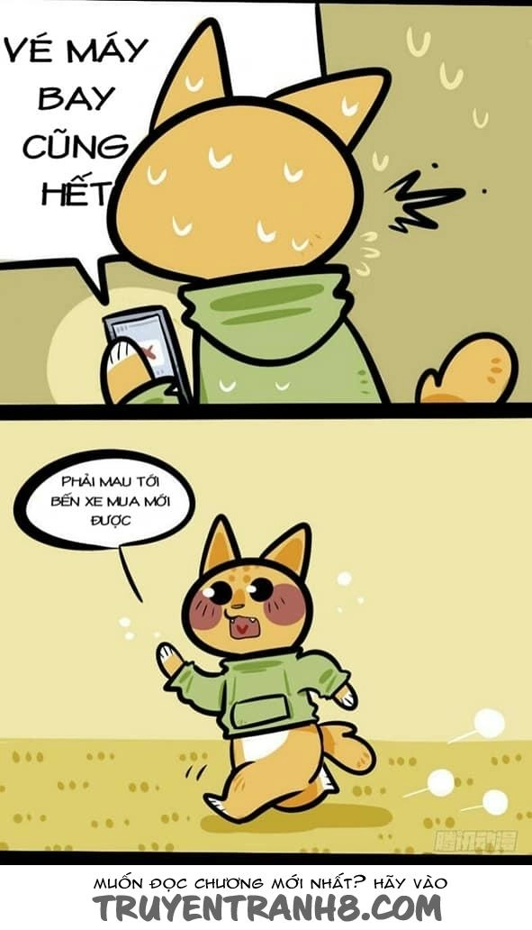 Đời Không Như Mình Tưởng Chapter 5 - 4