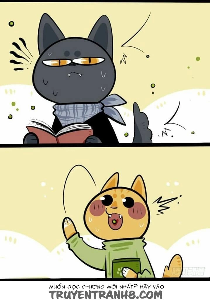 Đời Không Như Mình Tưởng Chapter 7 - 5