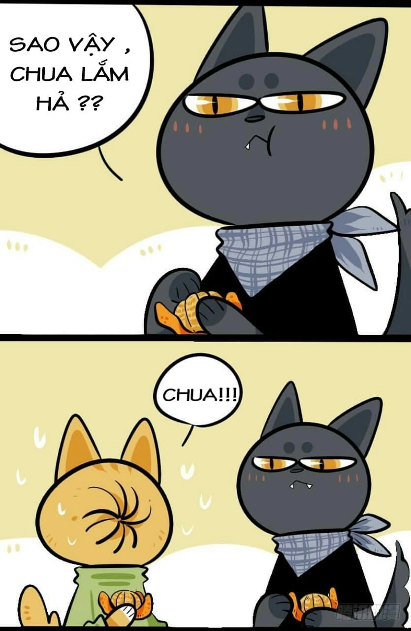 Đời Không Như Mình Tưởng Chapter 9 - 4