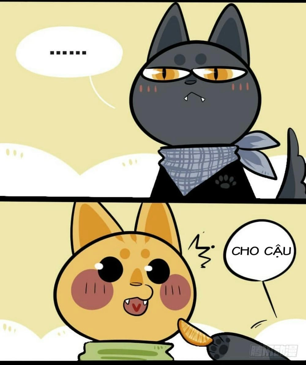 Đời Không Như Mình Tưởng Chapter 9 - 5