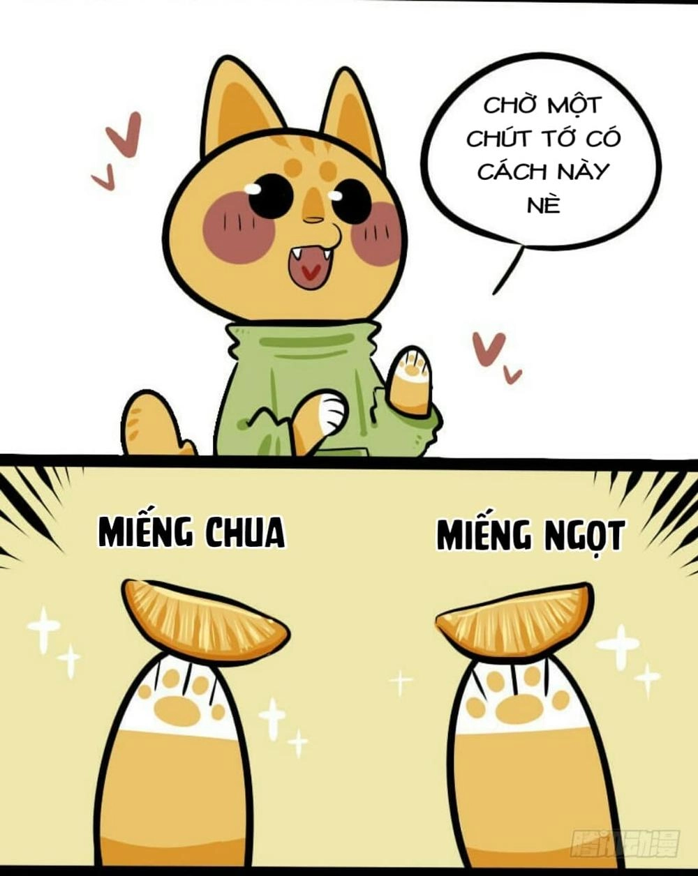 Đời Không Như Mình Tưởng Chapter 9 - 7