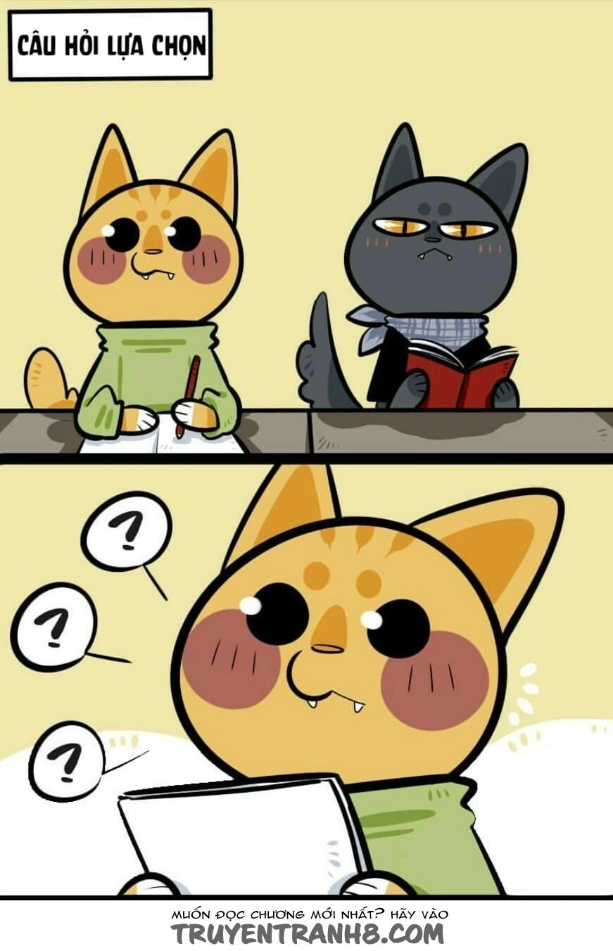 Đời Không Như Mình Tưởng Chapter 11 - 2