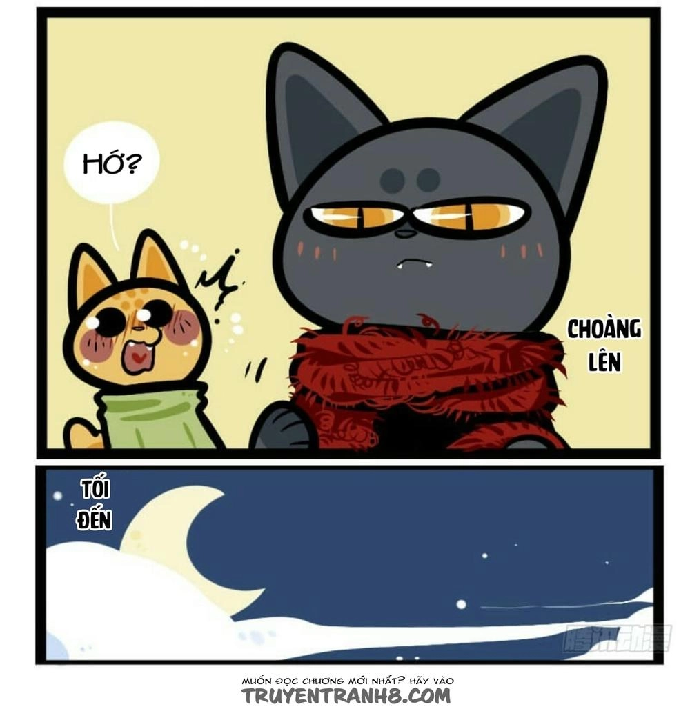 Đời Không Như Mình Tưởng Chapter 12 - 10