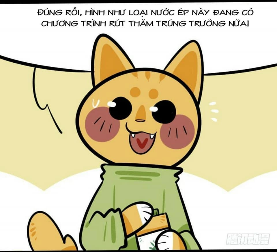 Đời Không Như Mình Tưởng Chapter 16 - 5