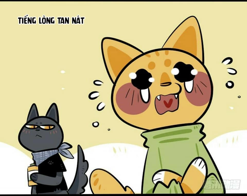 Đời Không Như Mình Tưởng Chapter 16 - 12