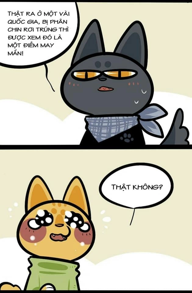 Đời Không Như Mình Tưởng Chapter 18 - 3