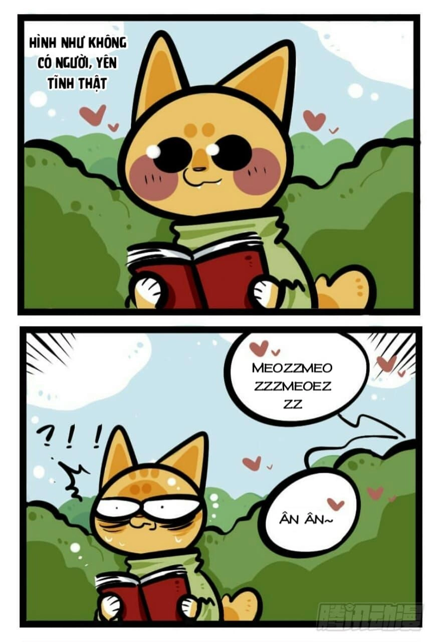 Đời Không Như Mình Tưởng Chapter 23 - 6