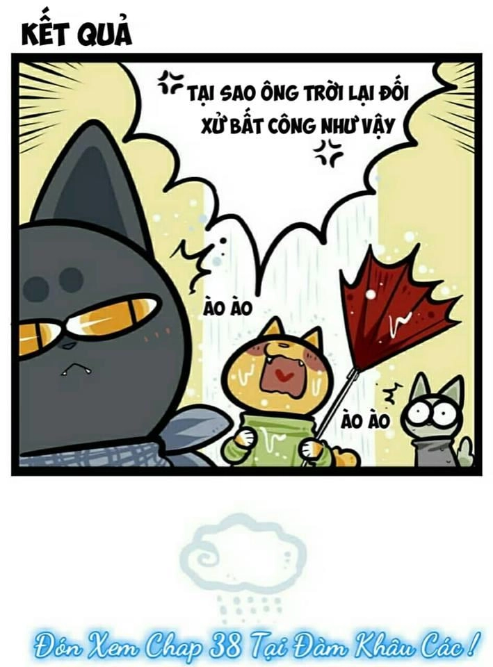 Đời Không Như Mình Tưởng Chapter 37 - 11