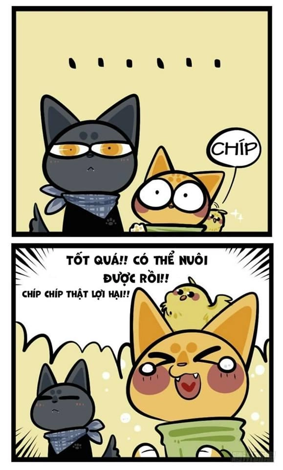 Đời Không Như Mình Tưởng Chapter 38 - 7