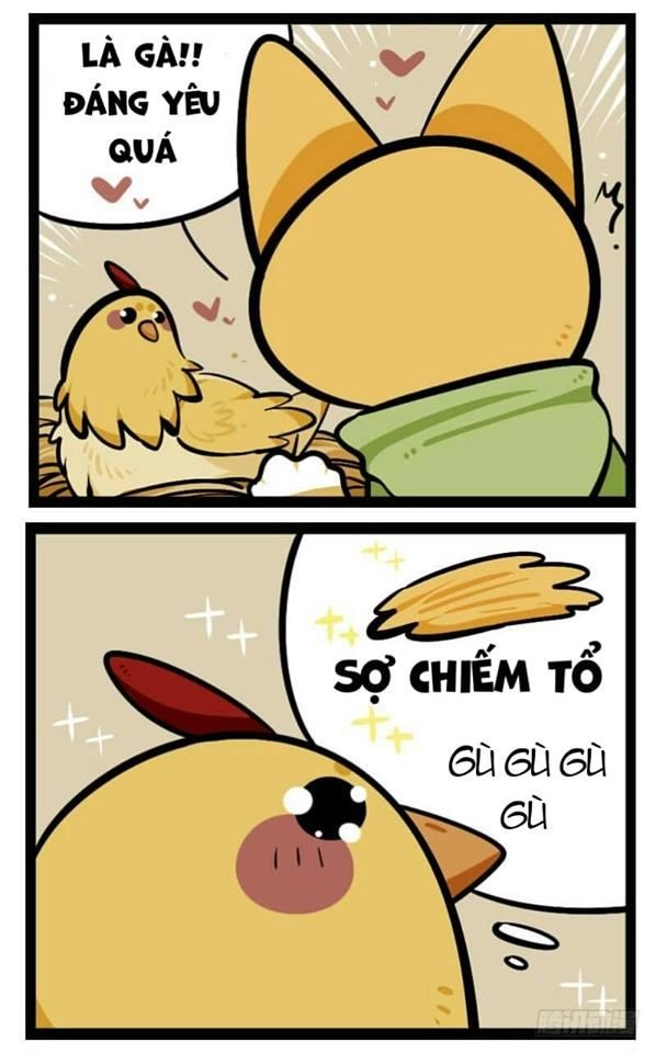 Đời Không Như Mình Tưởng Chapter 39 - 4