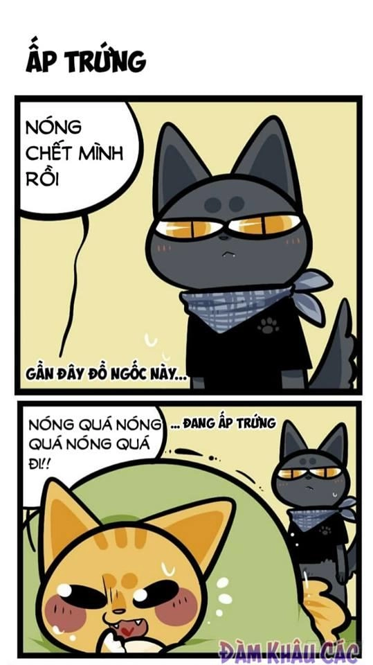 Đời Không Như Mình Tưởng Chapter 41 - 2