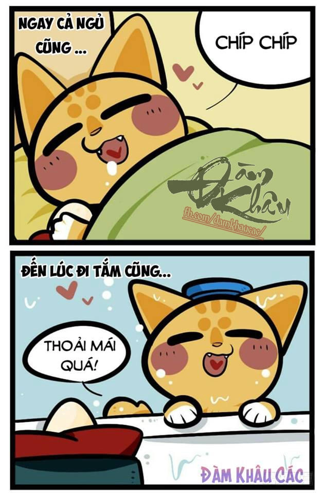 Đời Không Như Mình Tưởng Chapter 41 - 3