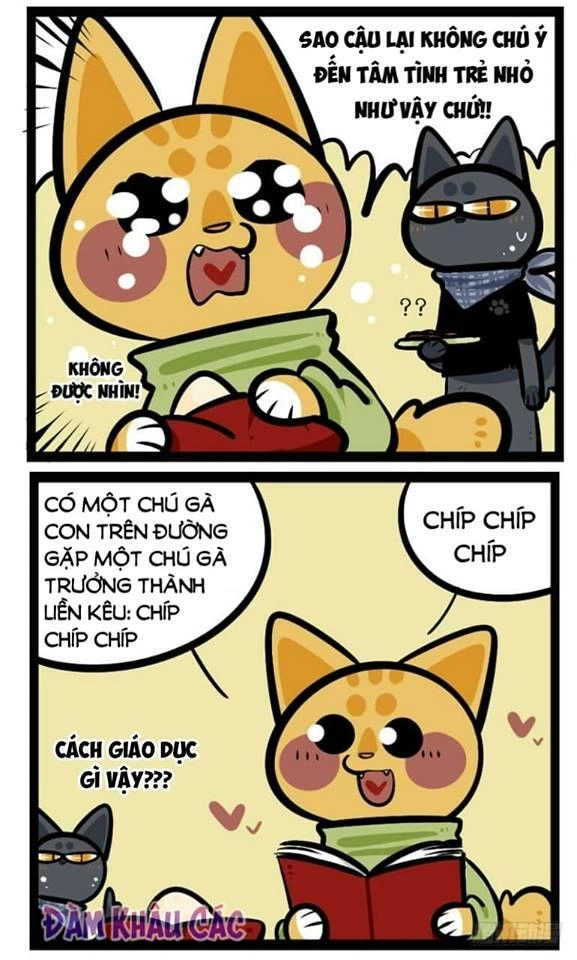 Đời Không Như Mình Tưởng Chapter 41 - 5