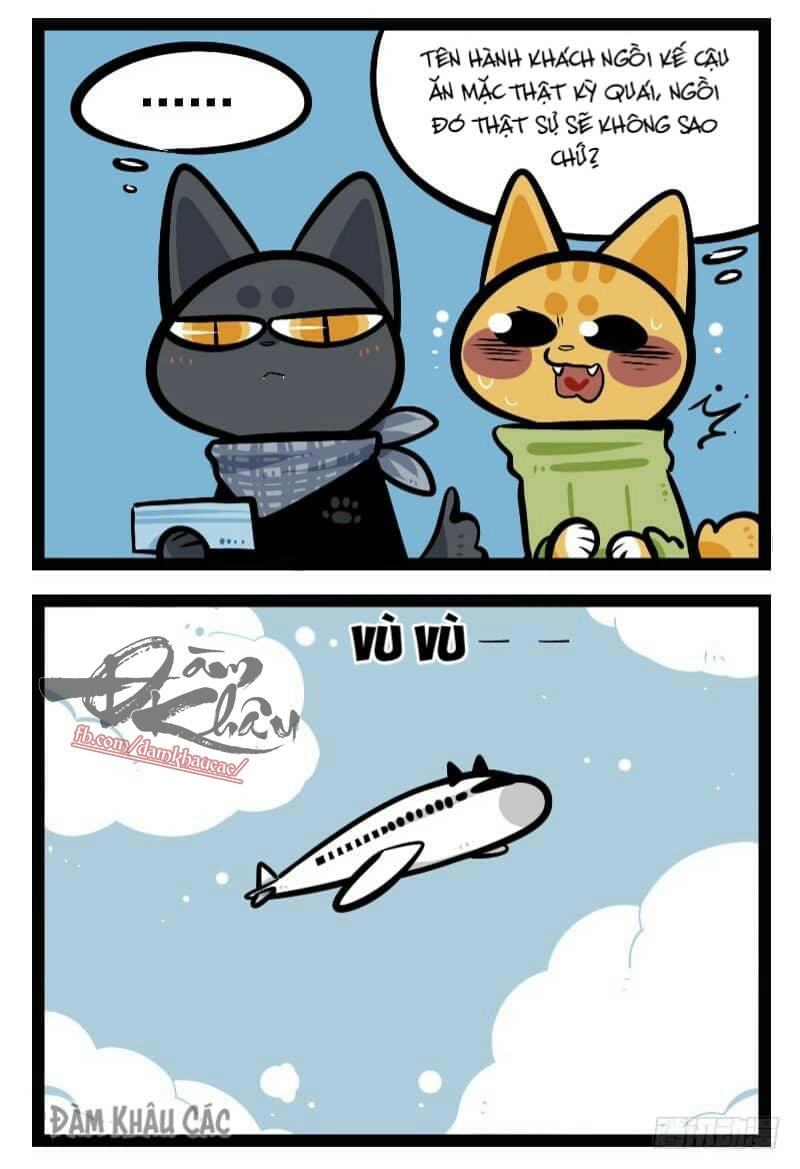 Đời Không Như Mình Tưởng Chapter 42 - 5