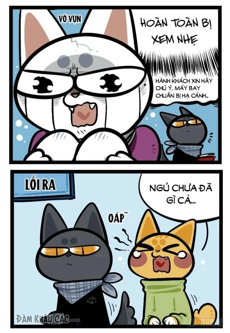 Đời Không Như Mình Tưởng Chapter 43 - 6