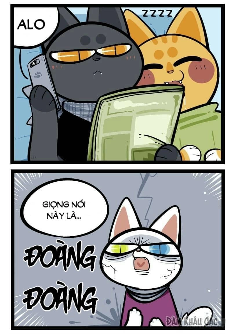 Đời Không Như Mình Tưởng Chapter 44 - 5