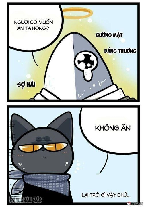 Đời Không Như Mình Tưởng Chapter 56 - 5