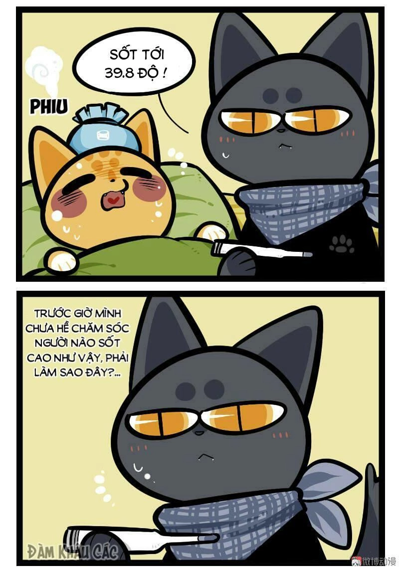 Đời Không Như Mình Tưởng Chapter 57 - 3