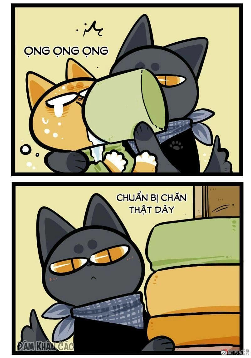 Đời Không Như Mình Tưởng Chapter 57 - 5