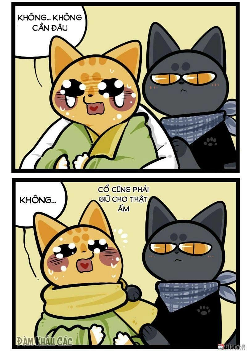 Đời Không Như Mình Tưởng Chapter 57 - 6