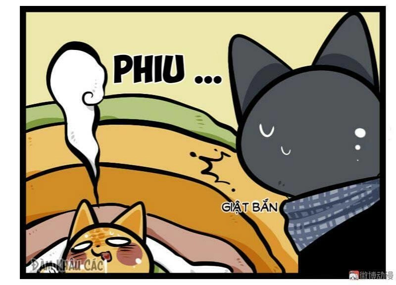 Đời Không Như Mình Tưởng Chapter 57 - 8