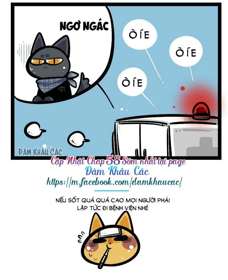 Đời Không Như Mình Tưởng Chapter 57 - 9