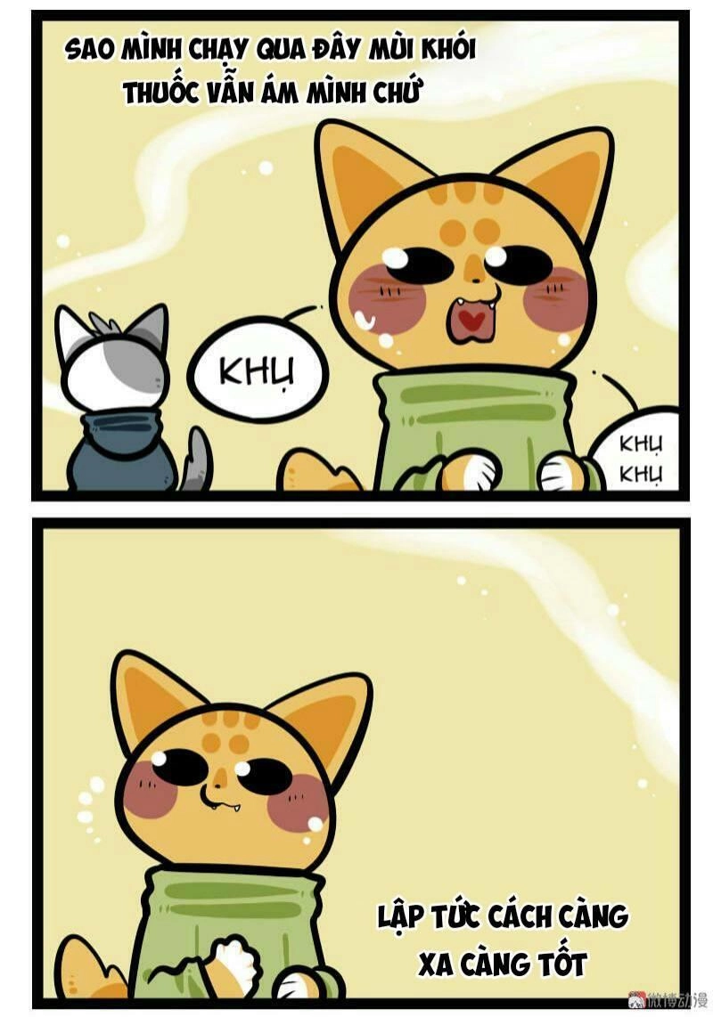 Đời Không Như Mình Tưởng Chapter 59 - 4