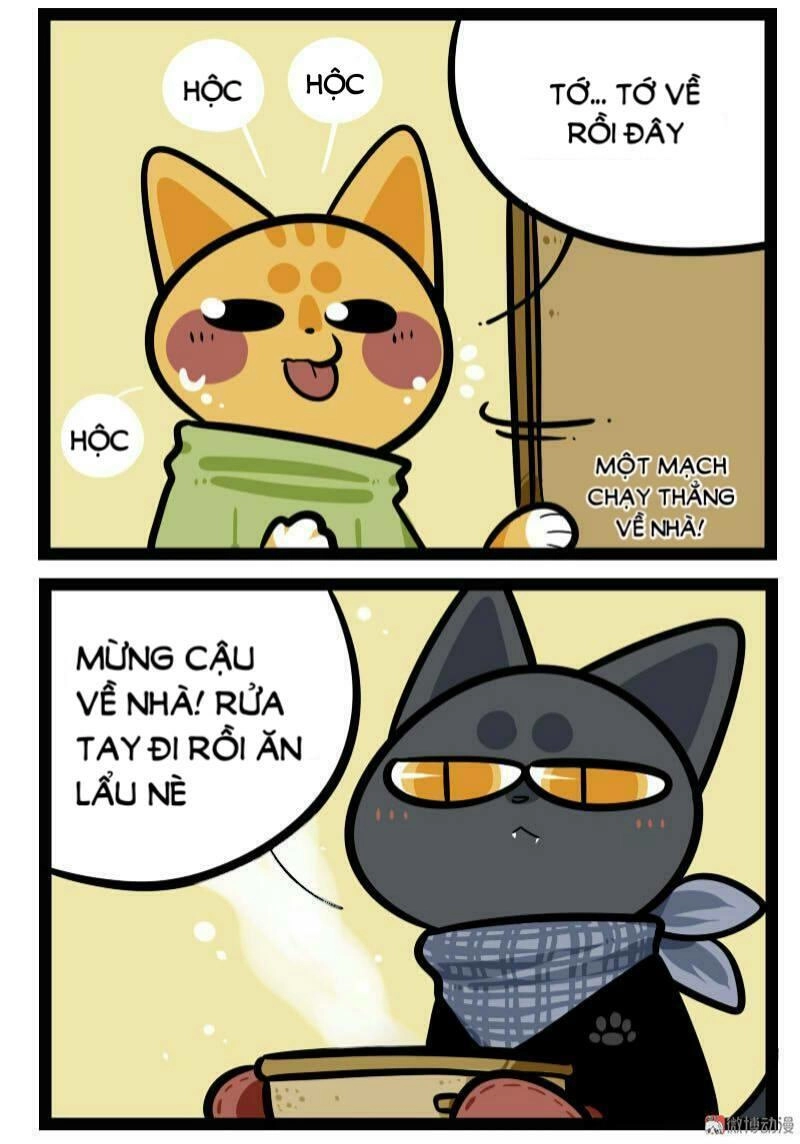 Đời Không Như Mình Tưởng Chapter 59 - 7