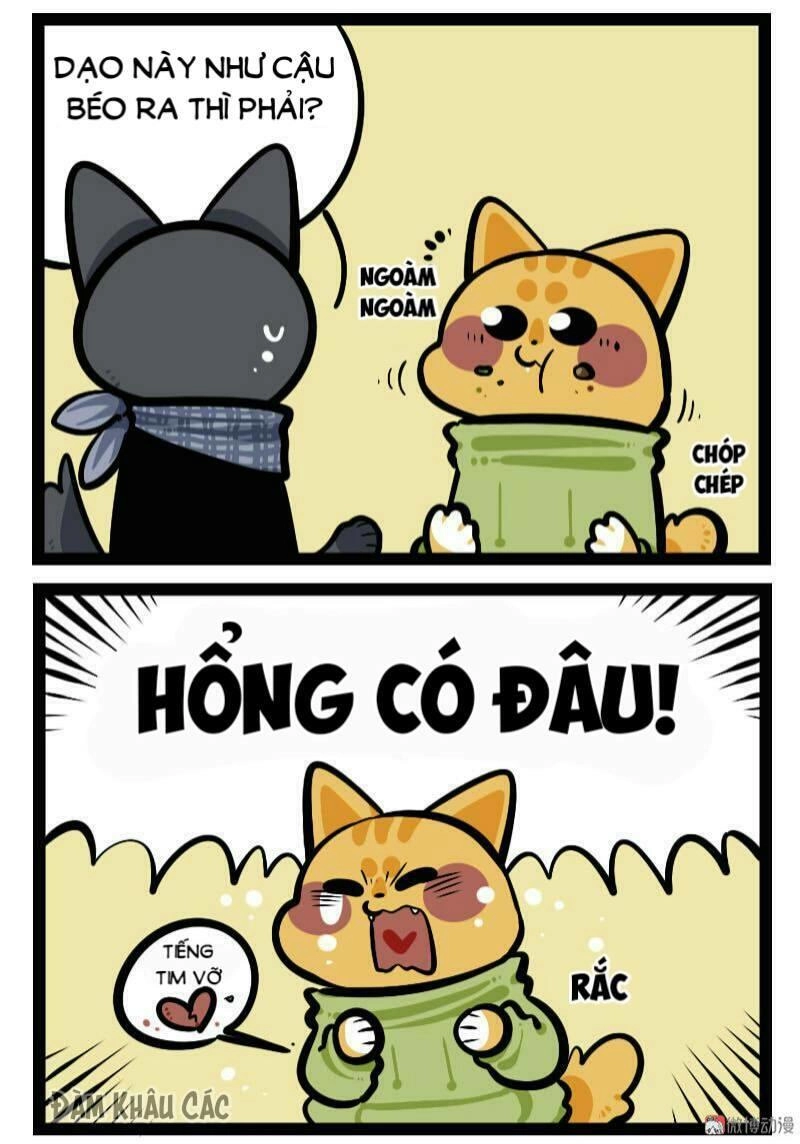 Đời Không Như Mình Tưởng Chapter 60 - 3