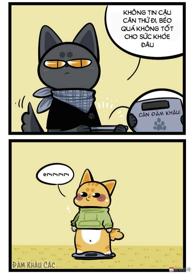 Đời Không Như Mình Tưởng Chapter 60 - 4