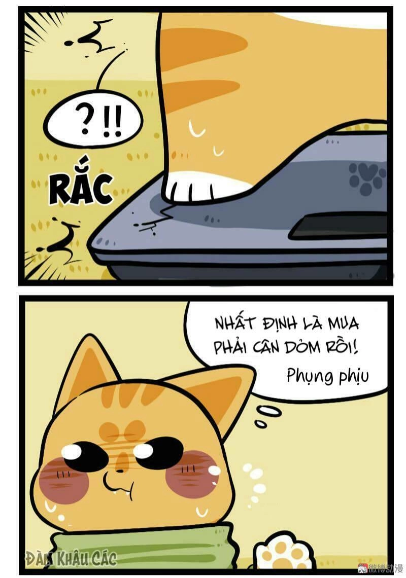 Đời Không Như Mình Tưởng Chapter 60 - 5