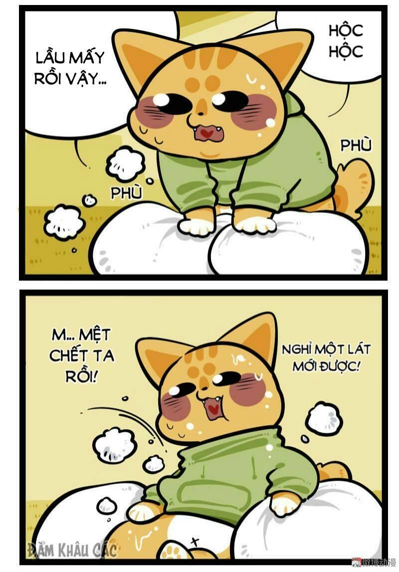 Đời Không Như Mình Tưởng Chapter 60 - 7