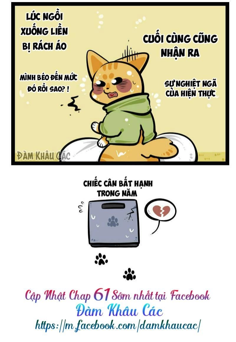 Đời Không Như Mình Tưởng Chapter 61 - 1