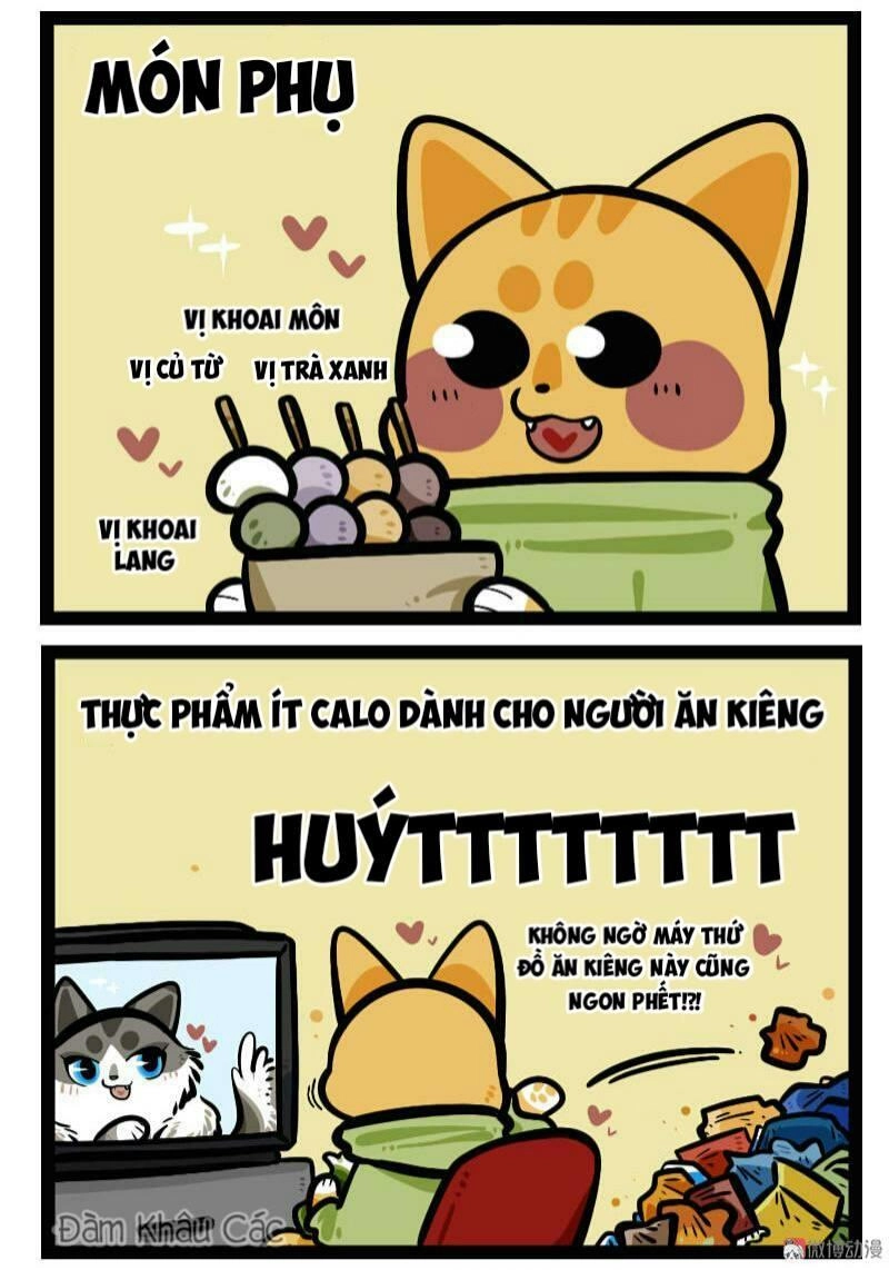 Đời Không Như Mình Tưởng Chapter 61 - 6