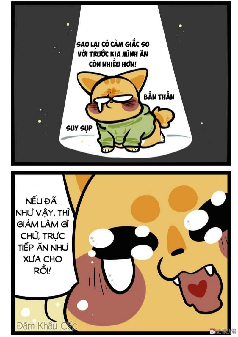 Đời Không Như Mình Tưởng Chapter 61 - 7