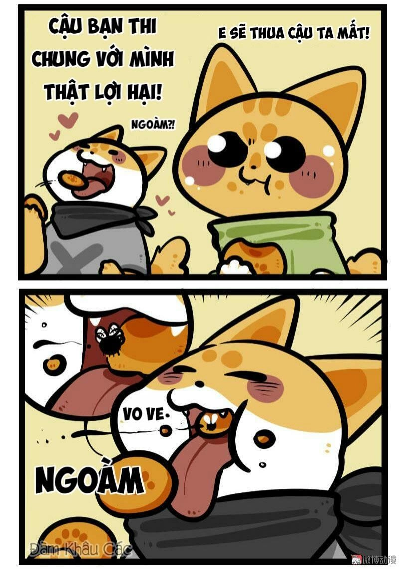 Đời Không Như Mình Tưởng Chapter 63 - 6