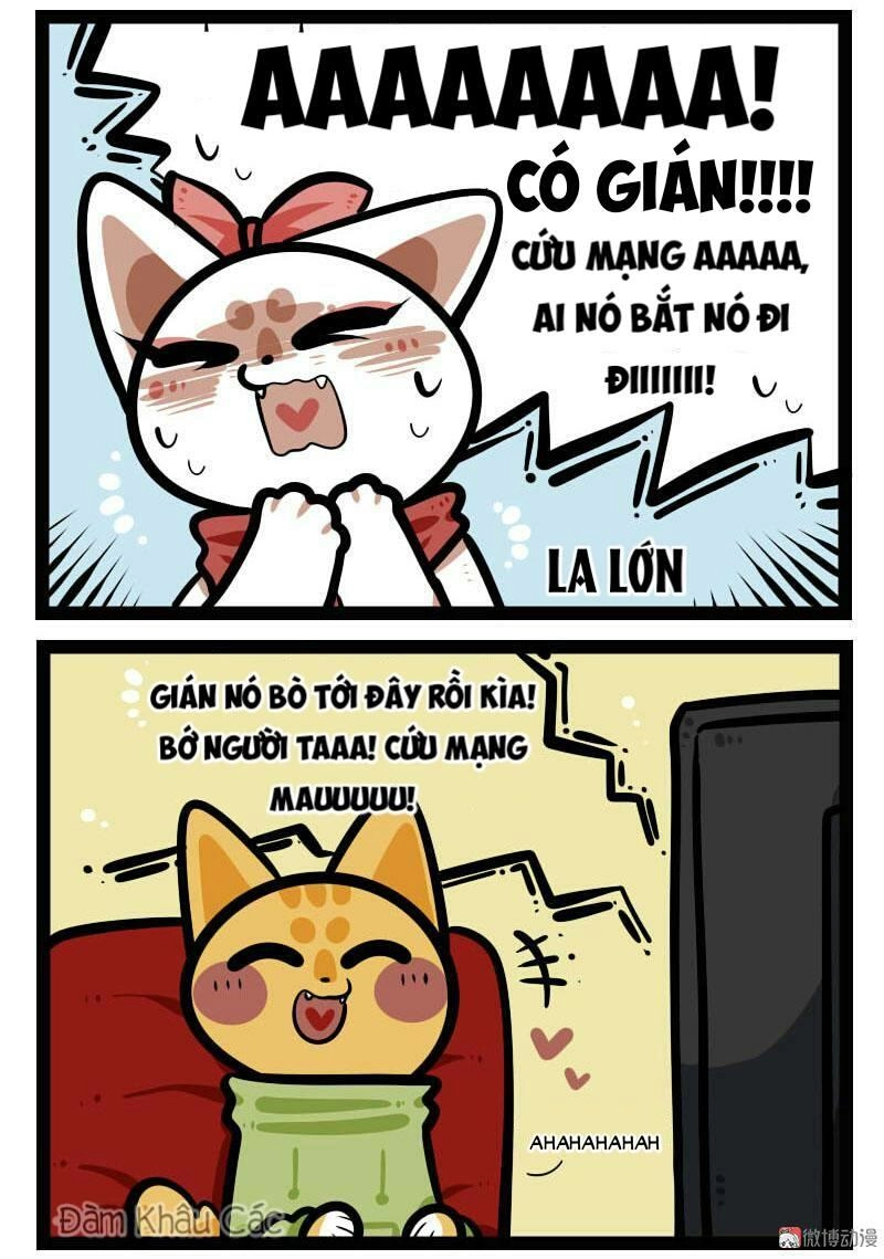 Đời Không Như Mình Tưởng Chapter 64 - 3