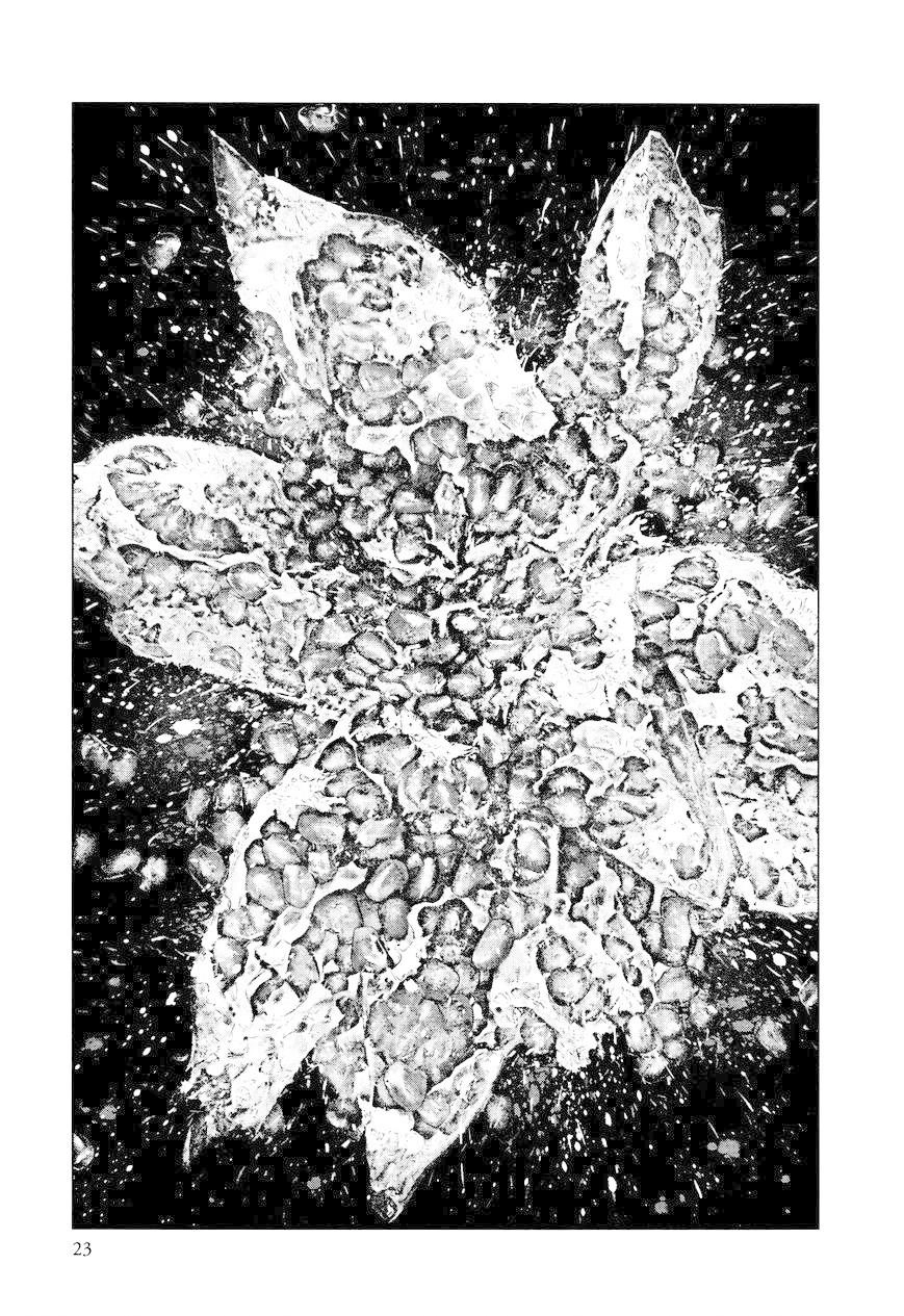 Innocent Chapter 9 - 24