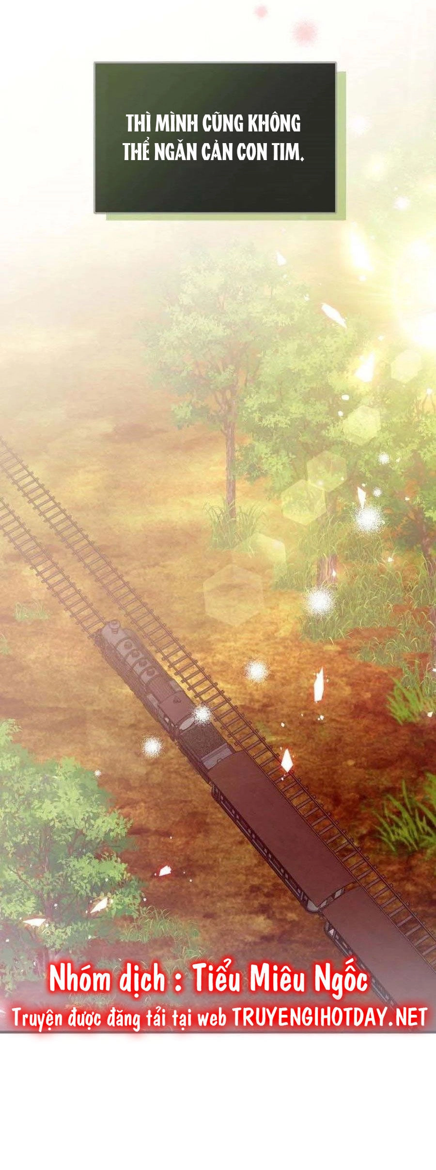 Kế Hoạch B Chapter 49 - 64